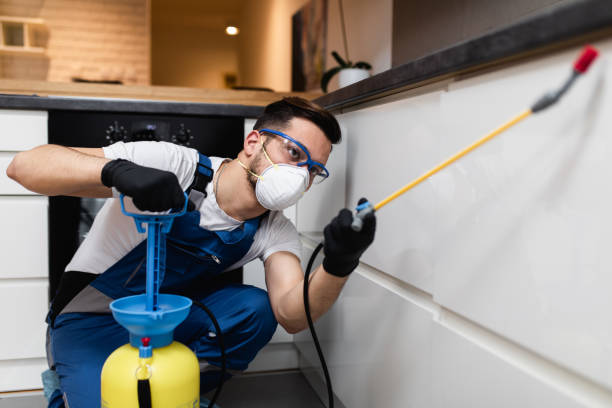 Best Termite Control Services  in Devine, TX