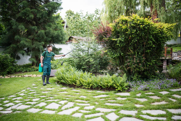 Best Ant Control Services  in Devine, TX