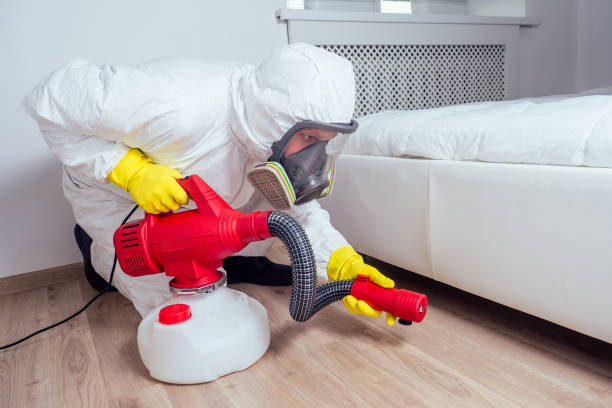 Insect Control in Devine, TX