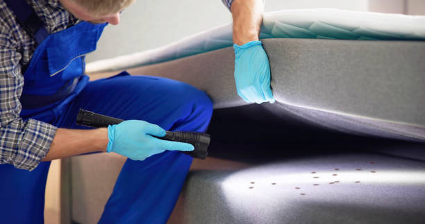 Best Commercial Pest Control Services  in Devine, TX